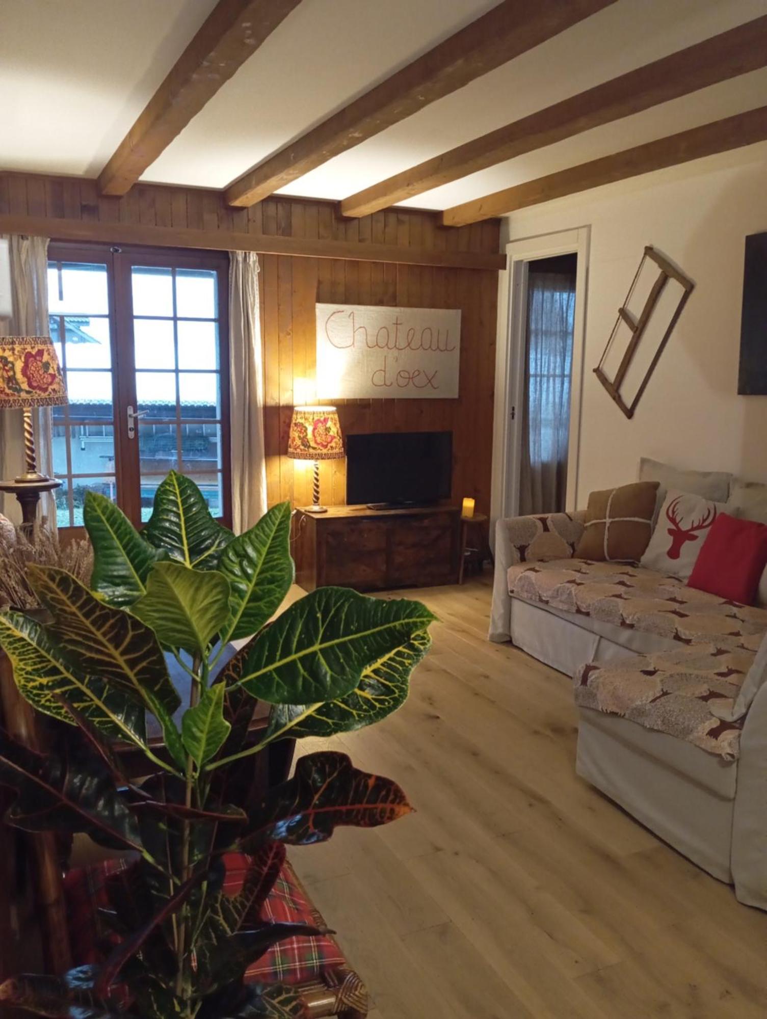 Cozy Apartment In The Heart Of The Alps Chateau-d'Oex Luaran gambar