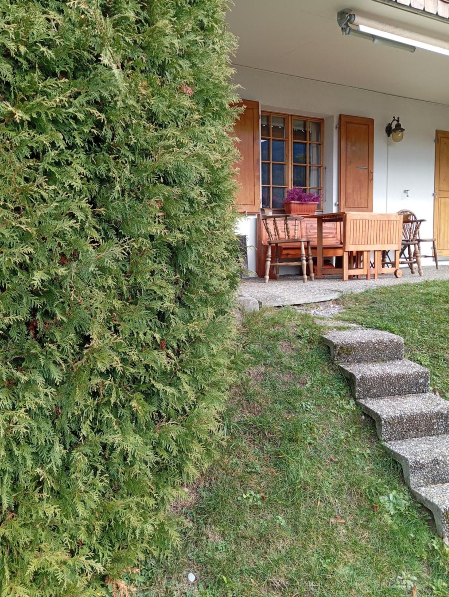 Cozy Apartment In The Heart Of The Alps Chateau-d'Oex Luaran gambar
