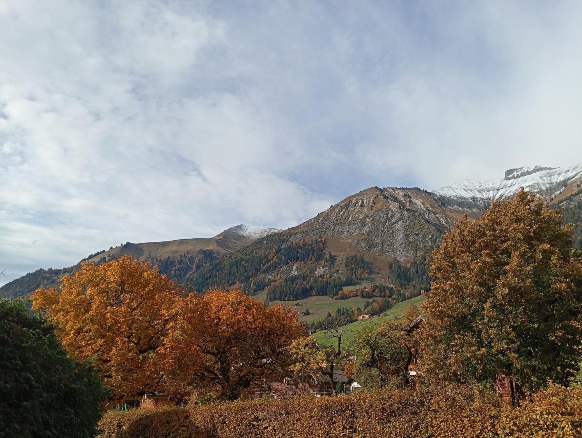 Cozy Apartment In The Heart Of The Alps Chateau-d'Oex Bilik gambar